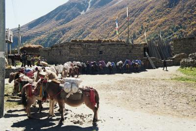 Khangsar