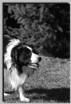 willy_0024