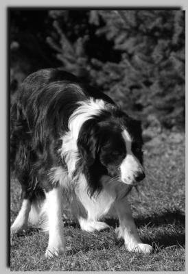 willy_0025