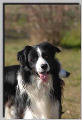 willy_0049