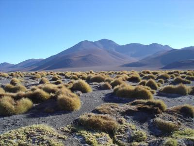 g3/86/387786/3/53786844.DSC02056.jpg