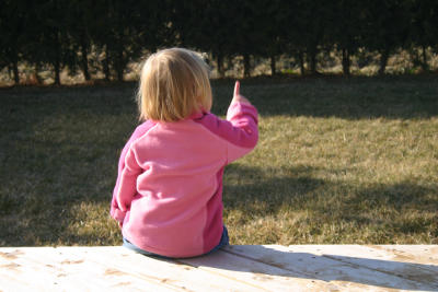 March 20 2006