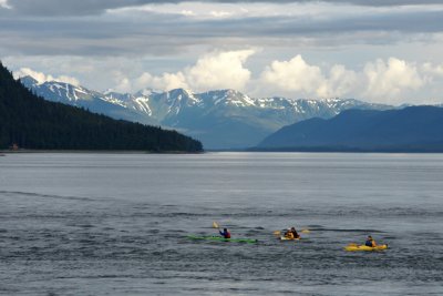 Riding Kayak with Whales in Juneau