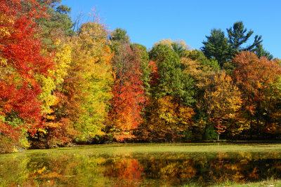 Fall on the Pond 2007