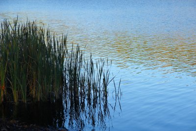 Francis Slocum Park 2007