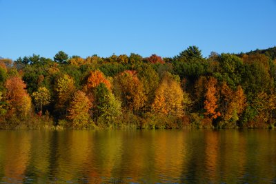 Francis Slocum Park 2007