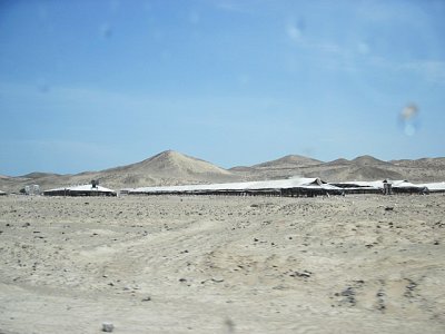 Chicken farms on road to Caral