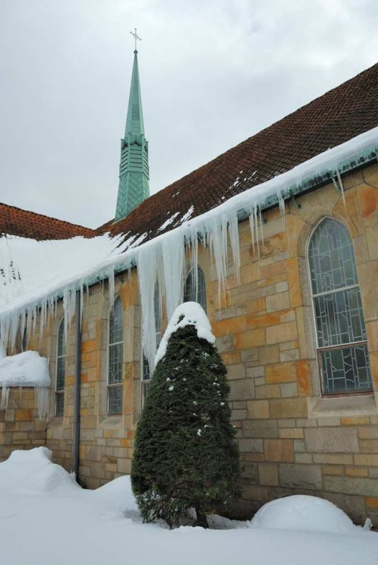 DSC_4472.jpg