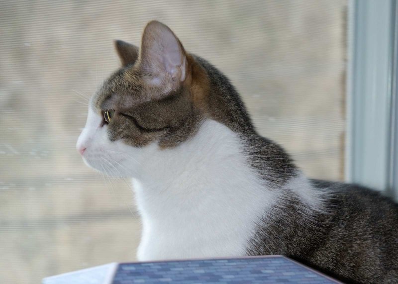 DSC_4913.jpg