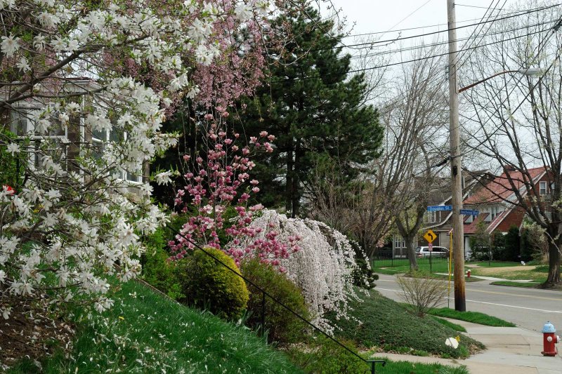 DSC_5155.jpg