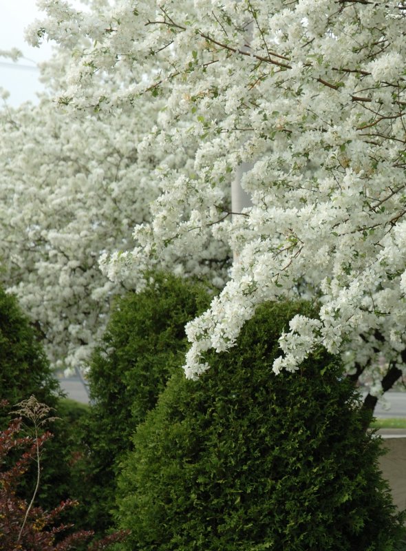 DSC_0814.jpg
