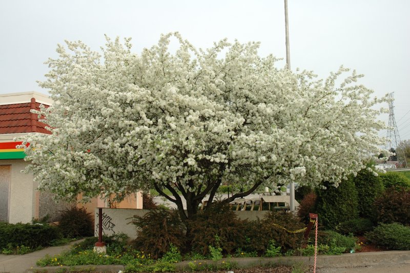 DSC_0816.jpg
