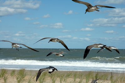 DSC_6999.jpg
