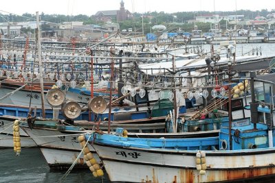 boats in harbor