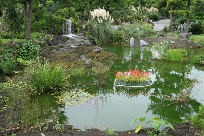 pond at park