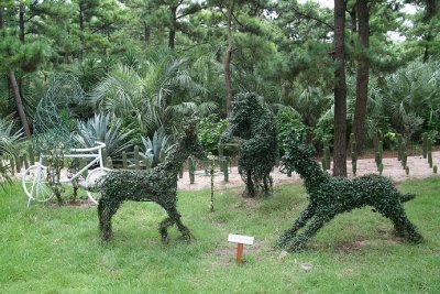 plants shaped as animals