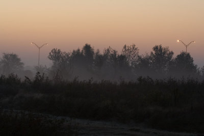 morning haze