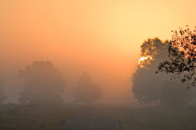 sunrise from FM 71