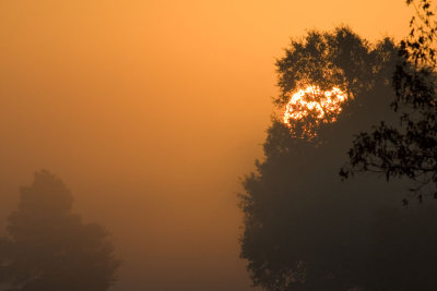 sunrise from FM 71