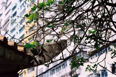 Image00010.jpg
