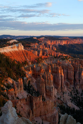 Black Birch Canyon at Sunrise