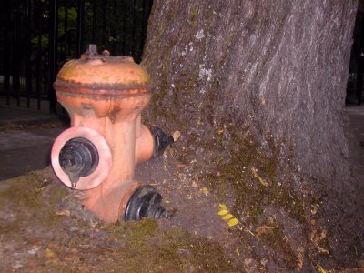 Tree Hydrant