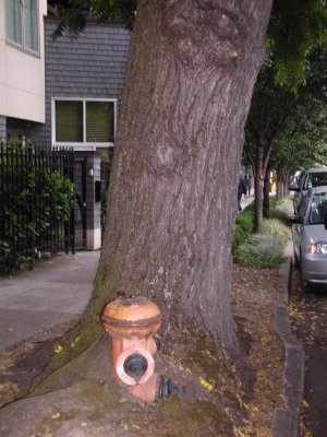 Tree Hydrant