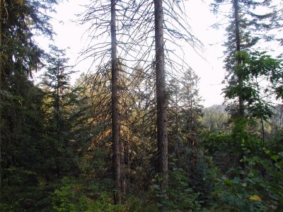 Washington Park