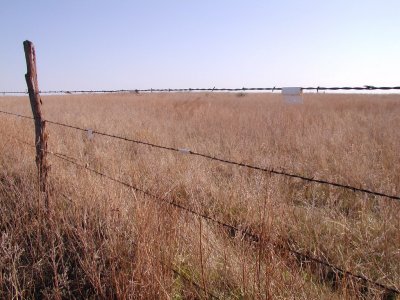 Fence Markers