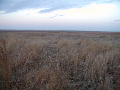 Lesser Prairie-Chicken Lek Area
