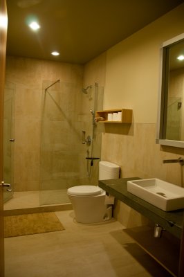 Lower level bathroom
