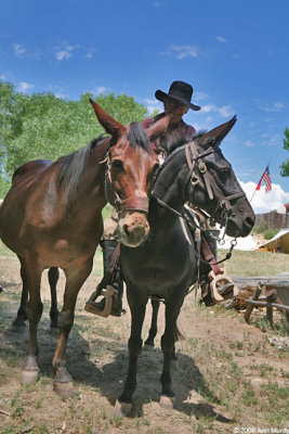 Bob and his mules