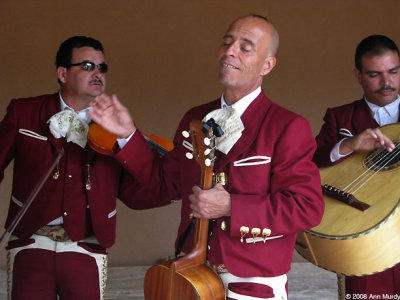 Mariachi Nuevo Mexico