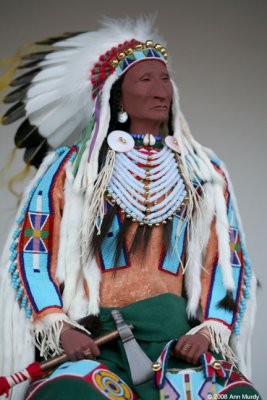 Chief by Rhonda Holy Bear