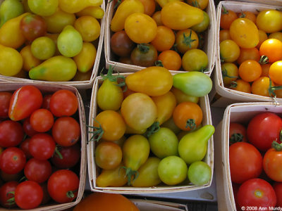 Boxes of cherry tomatoes