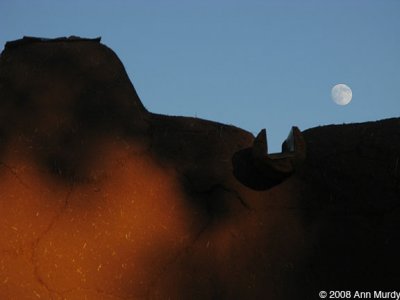 Moon and adobe