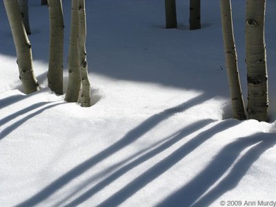 Snow and shadows