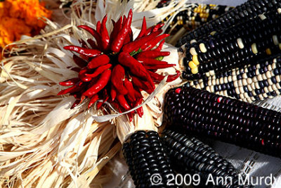 Chiles and Indian Corn