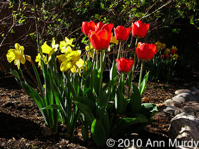 Color Cluster