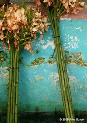 Flowers in tub