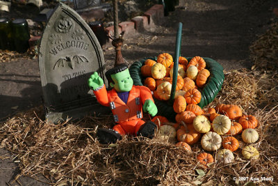 Frankenstein and Pumpkins