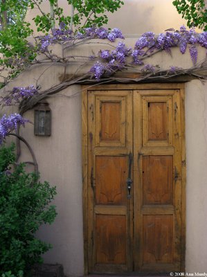 Wooden door