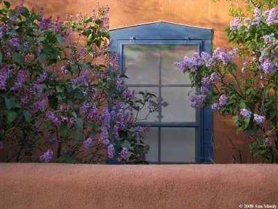 Lilac with blue window frame