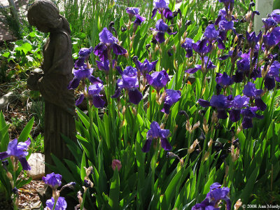 Statue of girl with irises