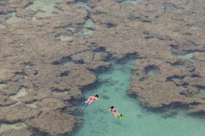 Snorkeling