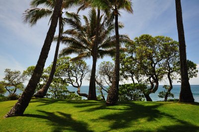 Turtle Bay Resort