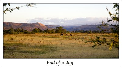 Landscapes of Madagascar