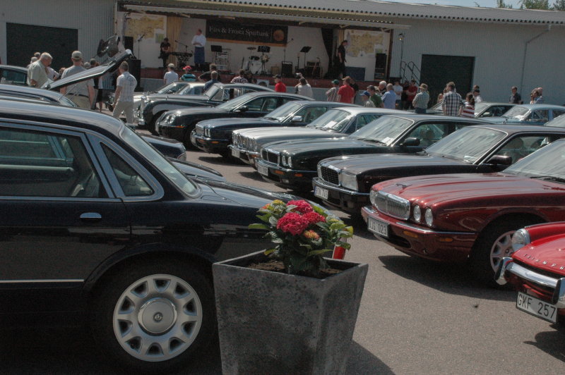 Jaguarer i rad