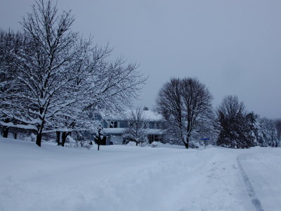 Nureyev Lane in the Snow
