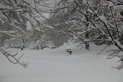 Lonely Mailbox